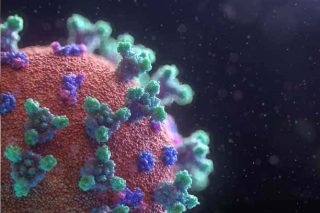 coronavirus covid19 south africa cell structure