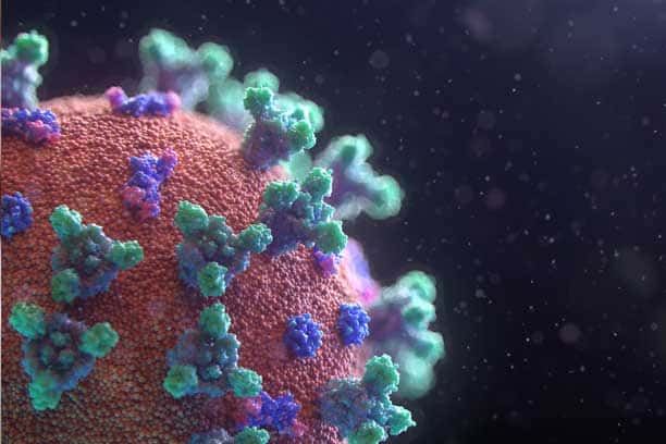 coronavirus covid19 south africa cell structure