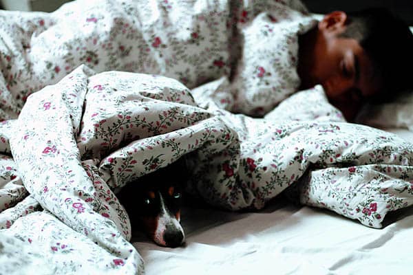 world mental health day 10 october 2021 wellness newsletter