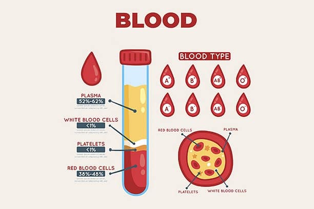 informed healthcare solutions newsletter blood type plasma red blood cells white blood cells and platelets